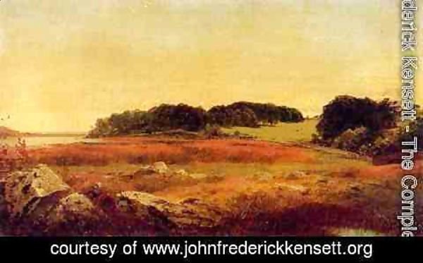 John Frederick Kensett - Lily Pond, Newport, Rhode Island