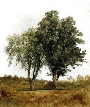 John Frederick Kensett - A Study Of Trees
